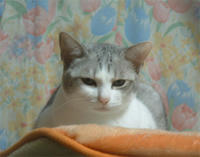 kai049.jpg
