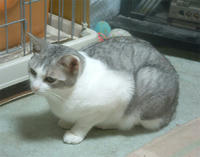 kai055.jpg