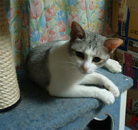 kai067.jpg