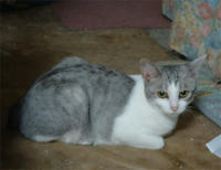 kai069.jpg