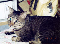 pooh018.jpg