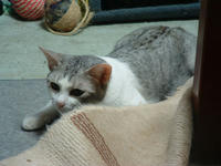 kai081.jpg