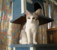 kai088.jpg