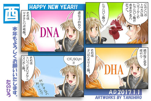 ２０１７年・年賀絵