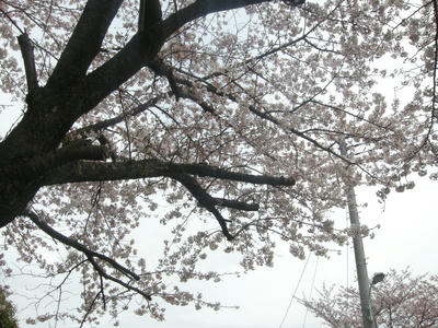 DSCN0579.JPG