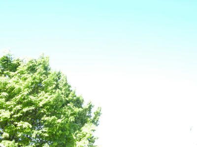 DSCN0746.JPG