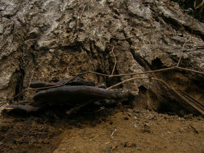 DSCN0618.JPG