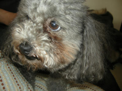 DSCN0641.JPG