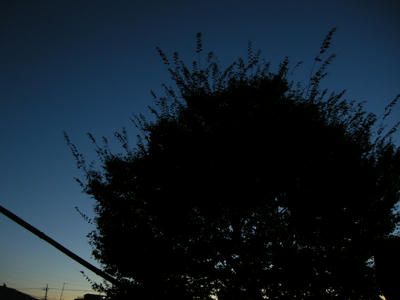 DSCN1136.JPG