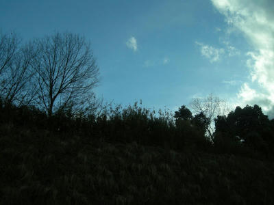 DSCN1416.JPG