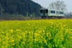 DSCF0597.JPG