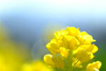 DSCF0153.JPG