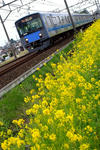 DSCF0281.JPG