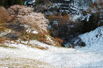 DSC_1277.JPG