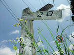 DSCF3737.JPG