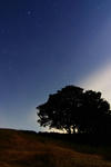 DSCF1539.JPG