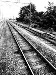 P8010056.JPG