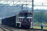 DSCF2567.JPG