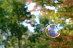 DSCF3284.JPG