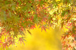 DSCF3276.JPG