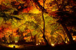 DSCF3469.jpg