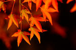 DSCF3431.jpg
