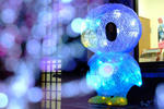 DSCF3898.JPG