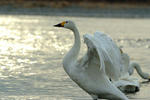 DSCF4130.JPG