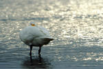 DSCF4121.JPG