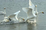DSCF4159.JPG