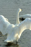 DSCF4172.JPG