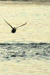 DSCF4178.JPG