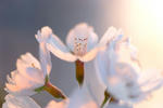 DSCF4857.JPG