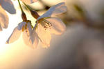 DSCF4842.JPG