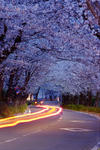 DSCF4906.jpg