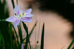 DSCF6073.JPG