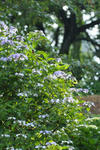DSCF6149.JPG