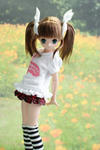 DSCF8483.JPG
