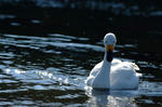 DSCF9446.JPG