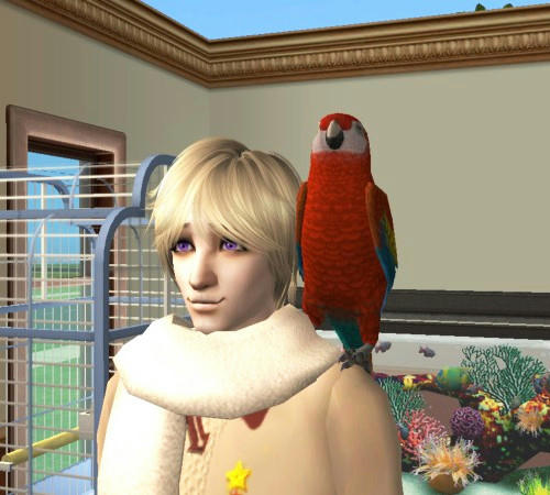 bird.jpg