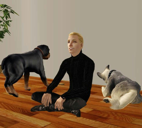 dog7.jpg