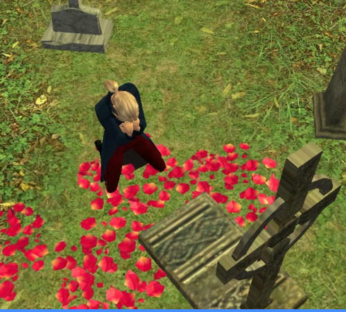 watta1.jpg