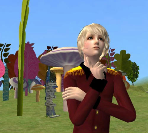 wonder1.jpg