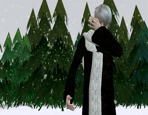 blogwinter1.jpg