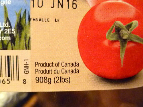 basil.jpg
