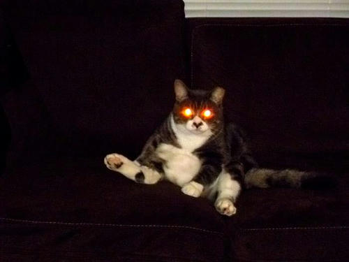 Missy1.jpg