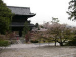 金戒光明寺
