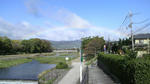 P1000071.jpg