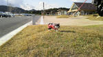 P1000084.jpg