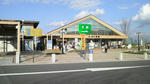 P1000088.jpg